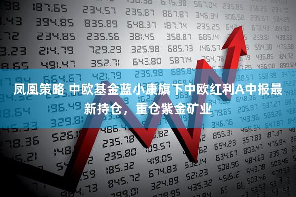 凤凰策略 中欧基金蓝小康旗下中欧红利A中报最新持仓，重仓紫金矿业