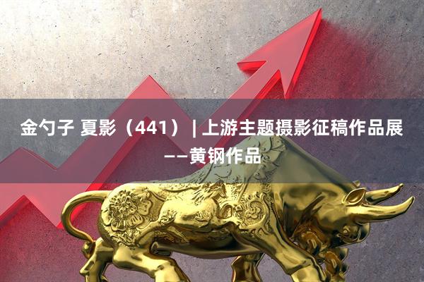 金勺子 夏影（441） | 上游主题摄影征稿作品展——黄钢作品