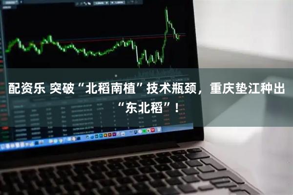 配资乐 突破“北稻南植”技术瓶颈，重庆垫江种出“东北稻”！