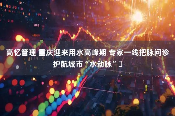 高忆管理 重庆迎来用水高峰期 专家一线把脉问诊护航城市“水动脉”​