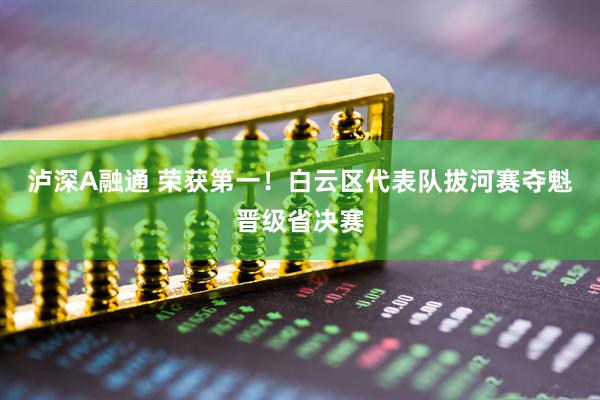 泸深A融通 荣获第一！白云区代表队拔河赛夺魁晋级省决赛