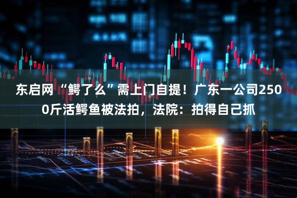 东启网 “鳄了么”需上门自提！广东一公司2500斤活鳄鱼被法拍，法院：拍得自己抓