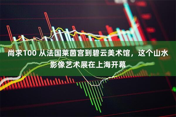 尚求100 从法国莱茵宫到碧云美术馆,这个山水影像艺术展在上海开幕